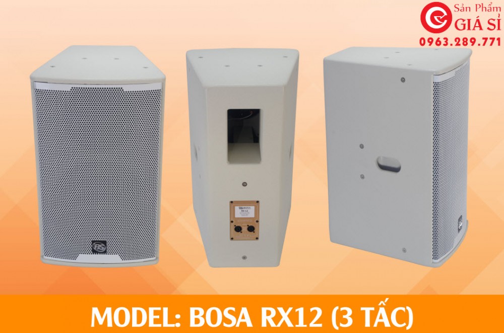Loa thùng BOSA RX12