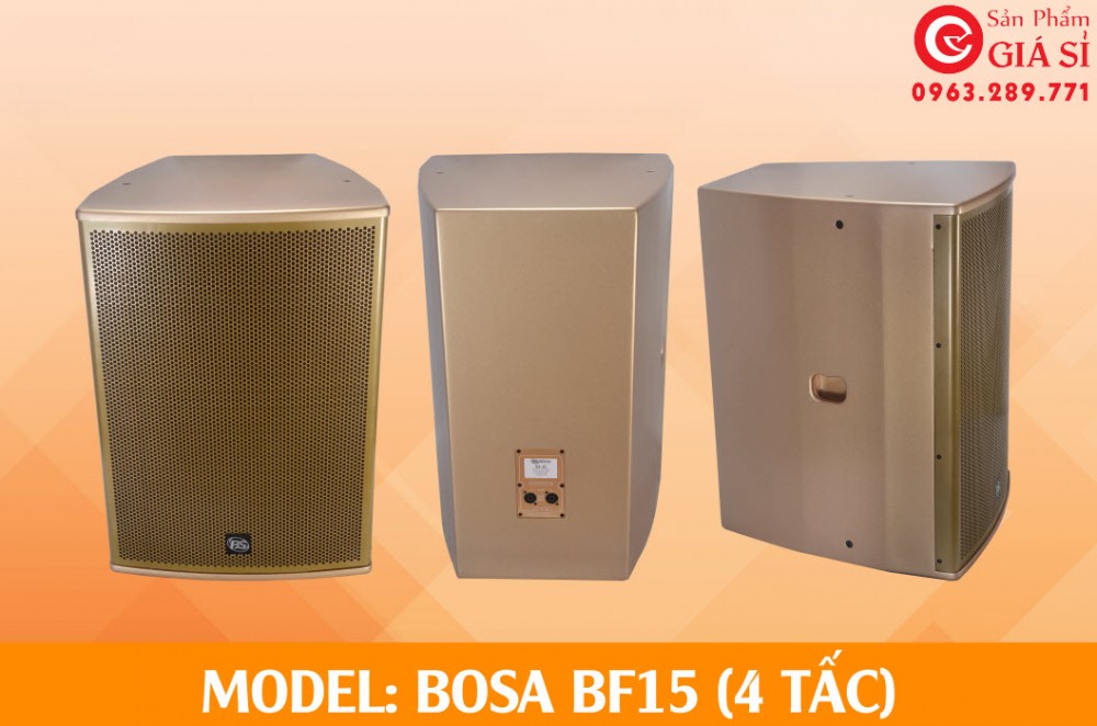 Loa thùng BOSA BF15