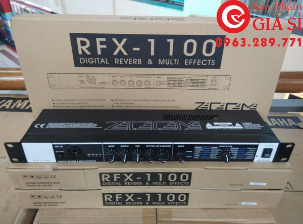 Echo Zoom RFX1100