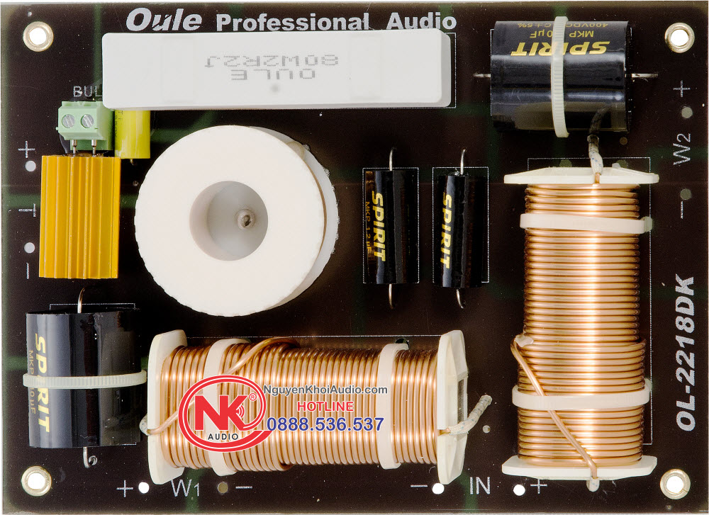MẠCH PHÂN TẦN LOA OULE 2218DK 3W