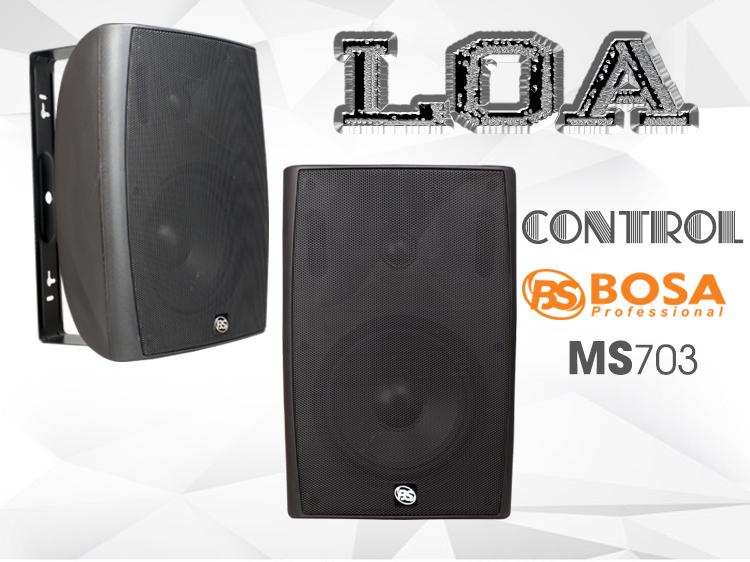 LOA TREO TƯỜNG BOSA MS703 CHÍNH HÃNG