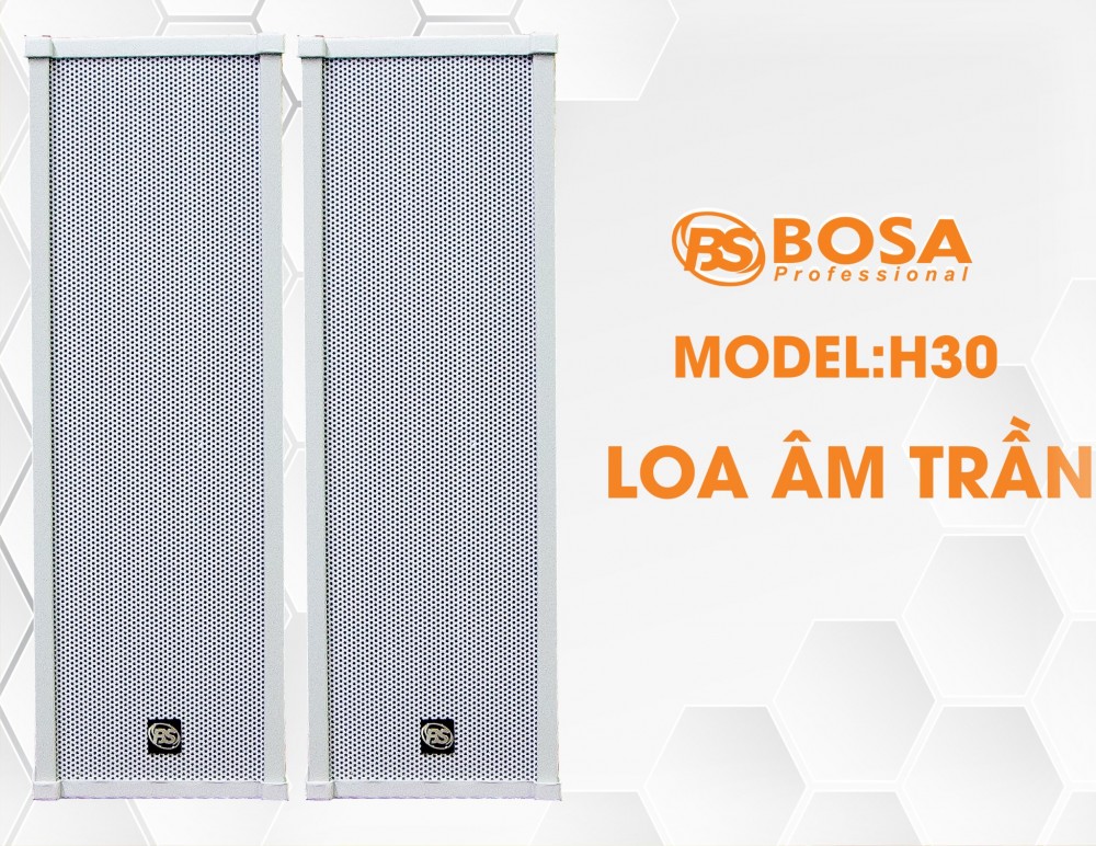 Loa Hội Trường Bosa H30