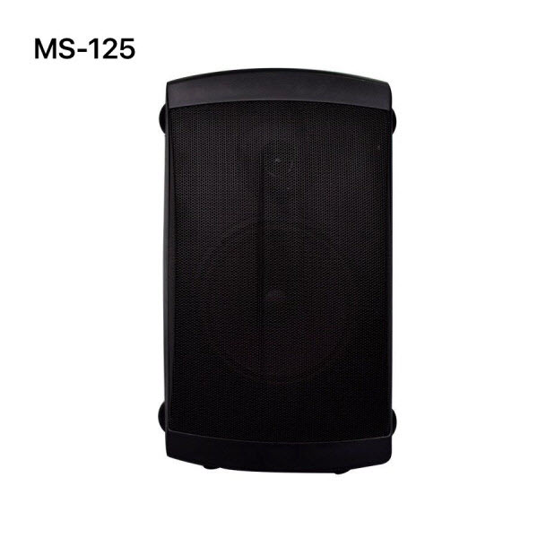 Loa Hội Trường BOSA MS125