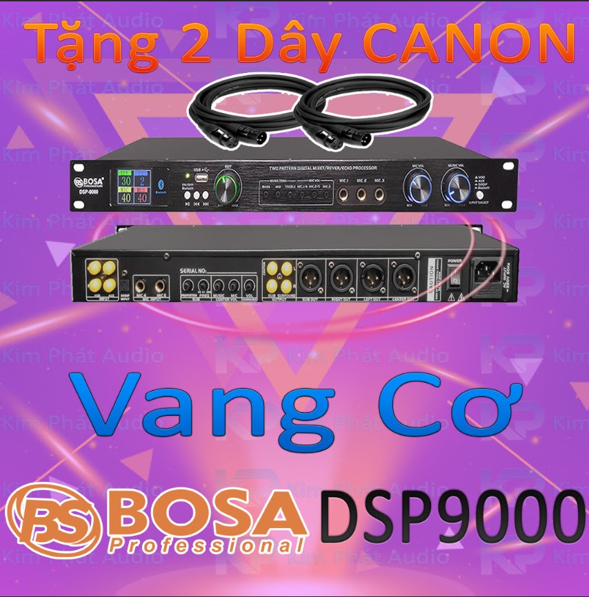 Vang Cơ Karaoke BOSA DSP9000