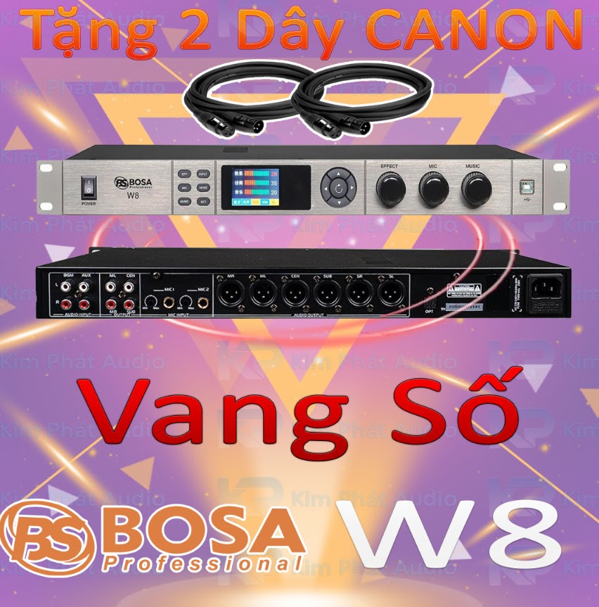 Vang Số Karaoke BOSA W8