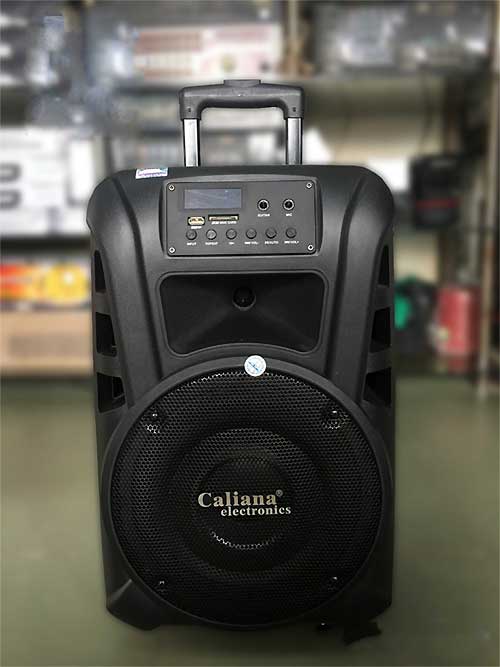 Loa kéo Caliana TN10 - 2.5 tấc (Đen)