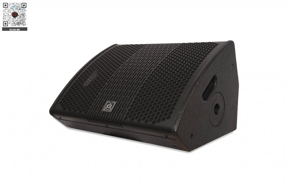 Loa Monitor MORGAN SOUND MON15A