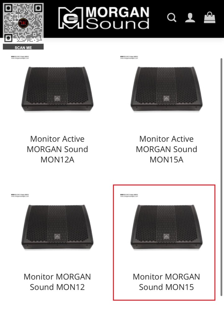 Loa Monitor MORGAN SOUND MON15