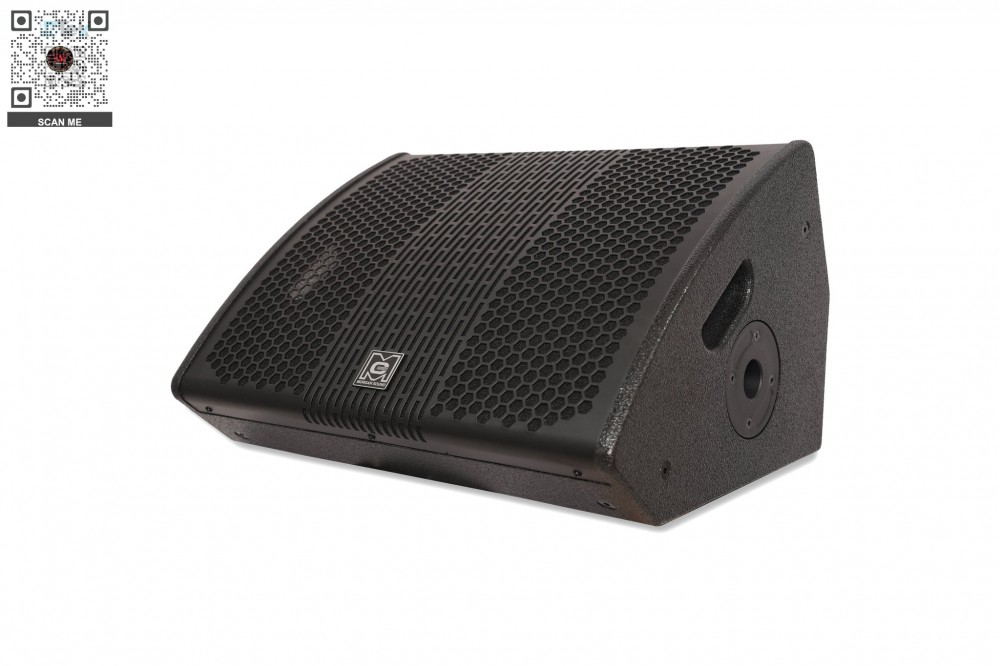 Loa Monitor MORGAN SOUND MON12A