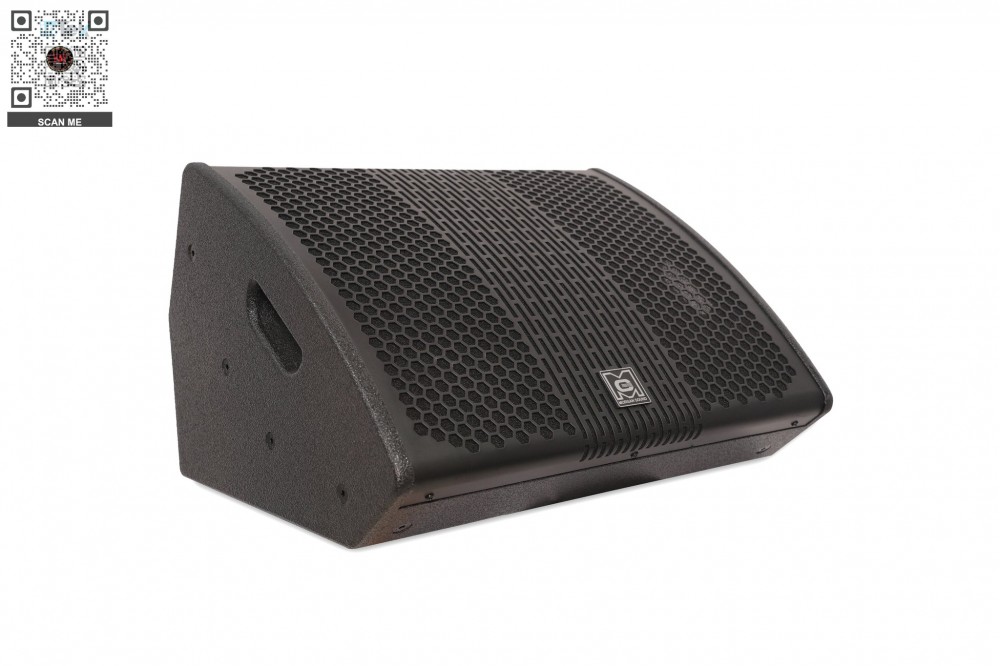 Loa Monitor MORGAN SOUND MON12A