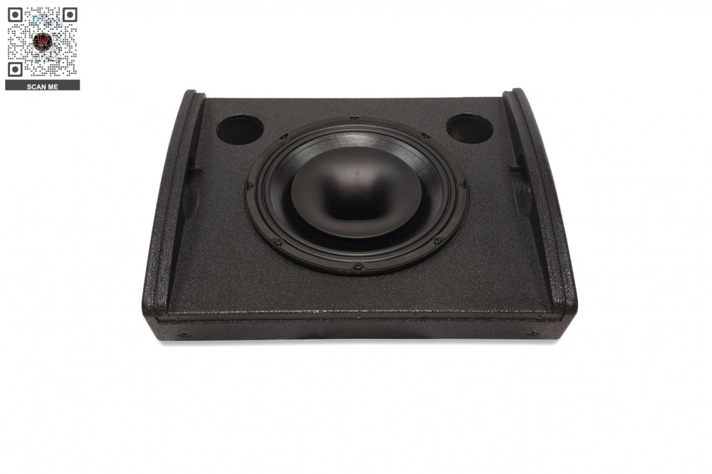 Loa Monitor MORGAN SOUND MON12A