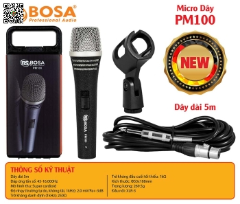 Micro Dây Bosa PM100