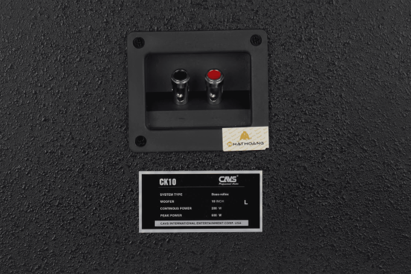 Loa Karaoke CAVS CK10