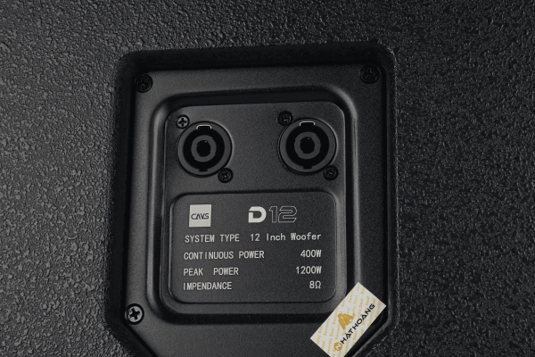 Loa Full CAVS D12