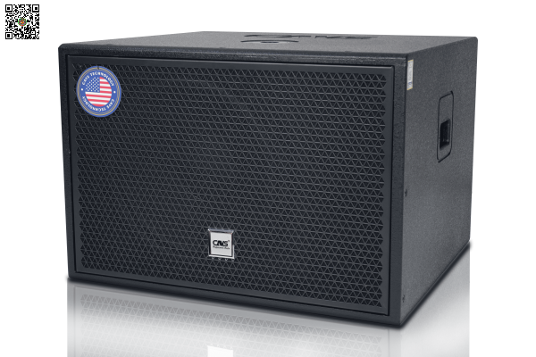Loa Subwoofer CAVS CS115