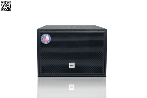 Loa Subwoofer CAVS DS115