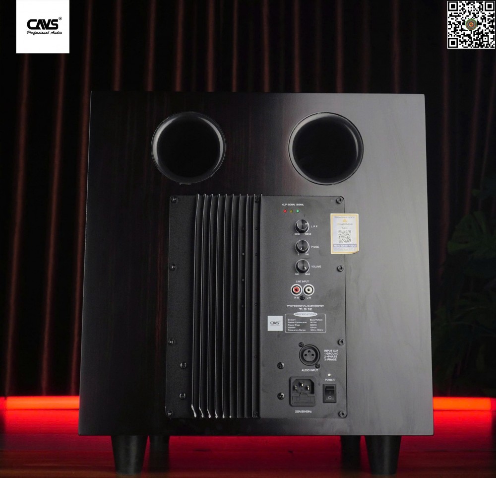 Loa Subwoofer CAVS TLS12