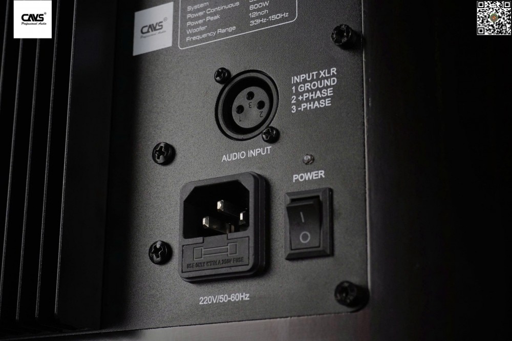 Loa Subwoofer CAVS TLS12