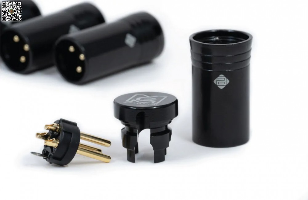 Jack Canon Đực MORGAN SOUND