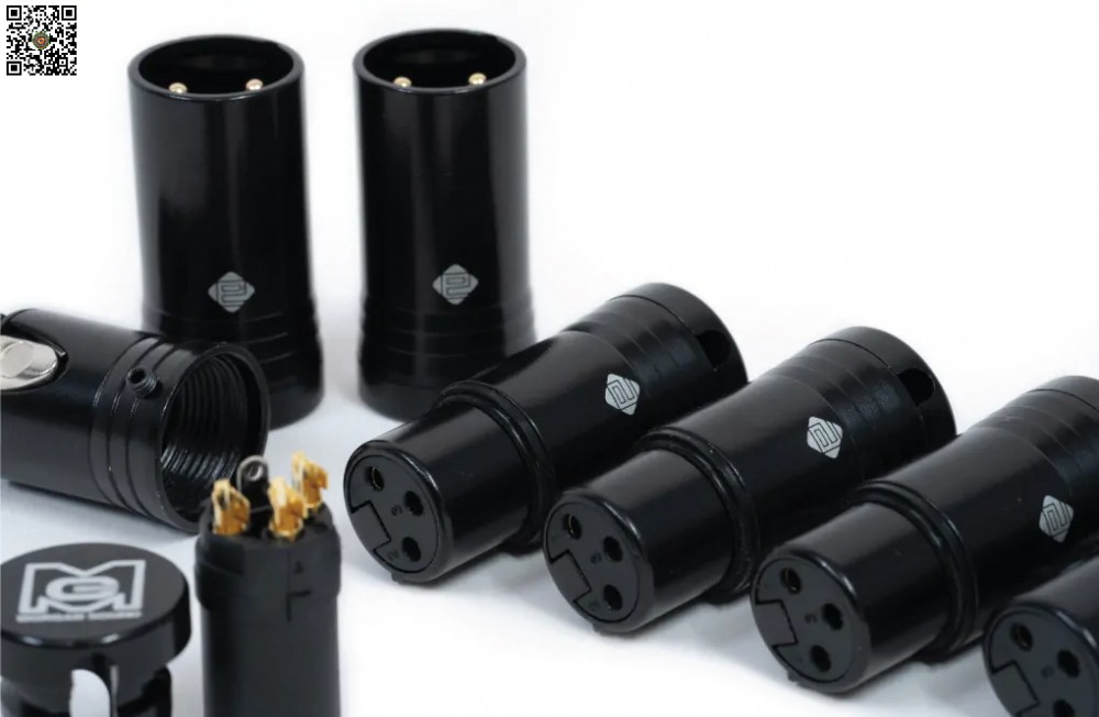 Jack Canon Đực MORGAN SOUND